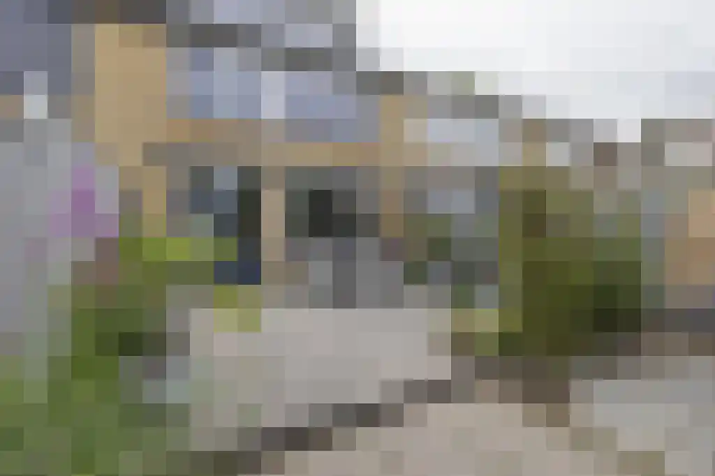 Wega 77 Dordrecht thumbnail 37