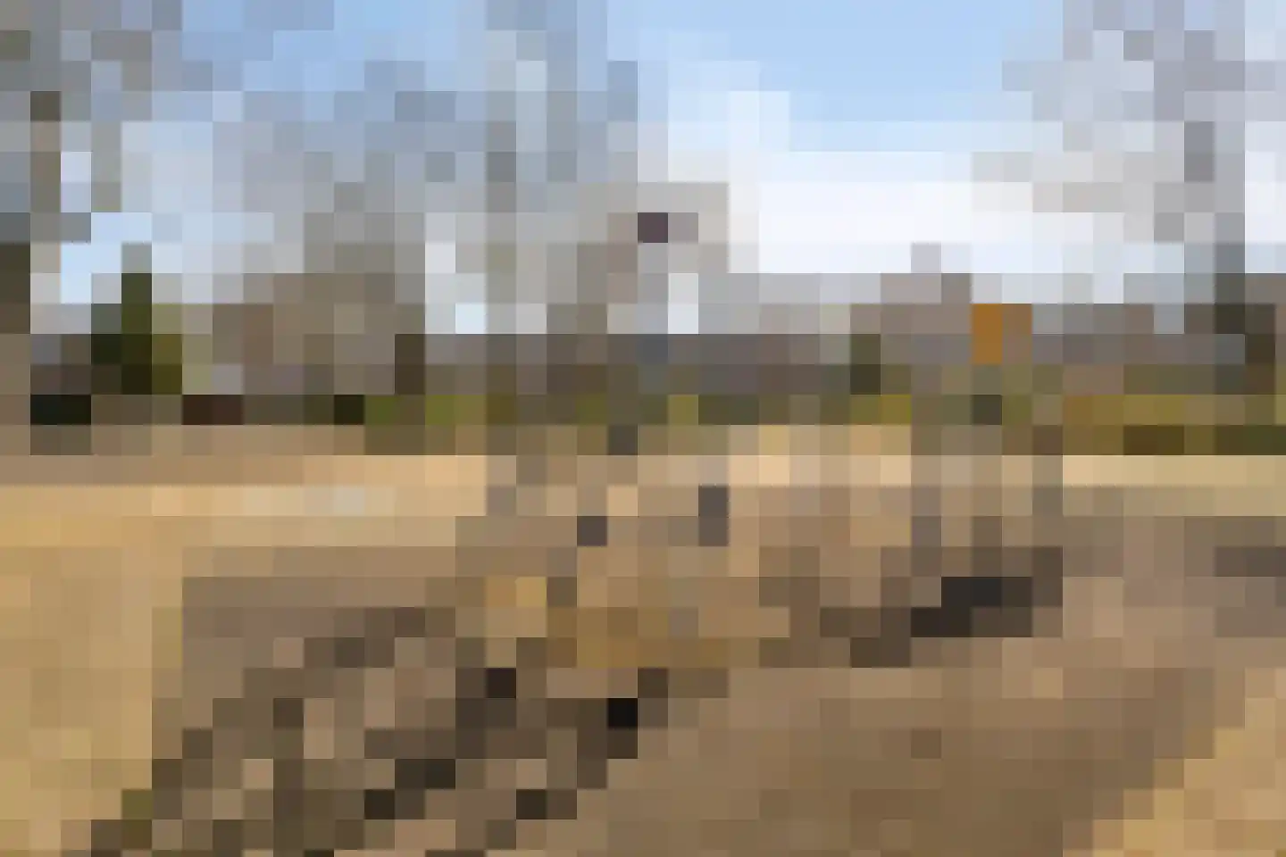 Wega 8 Puttershoek thumbnail 36