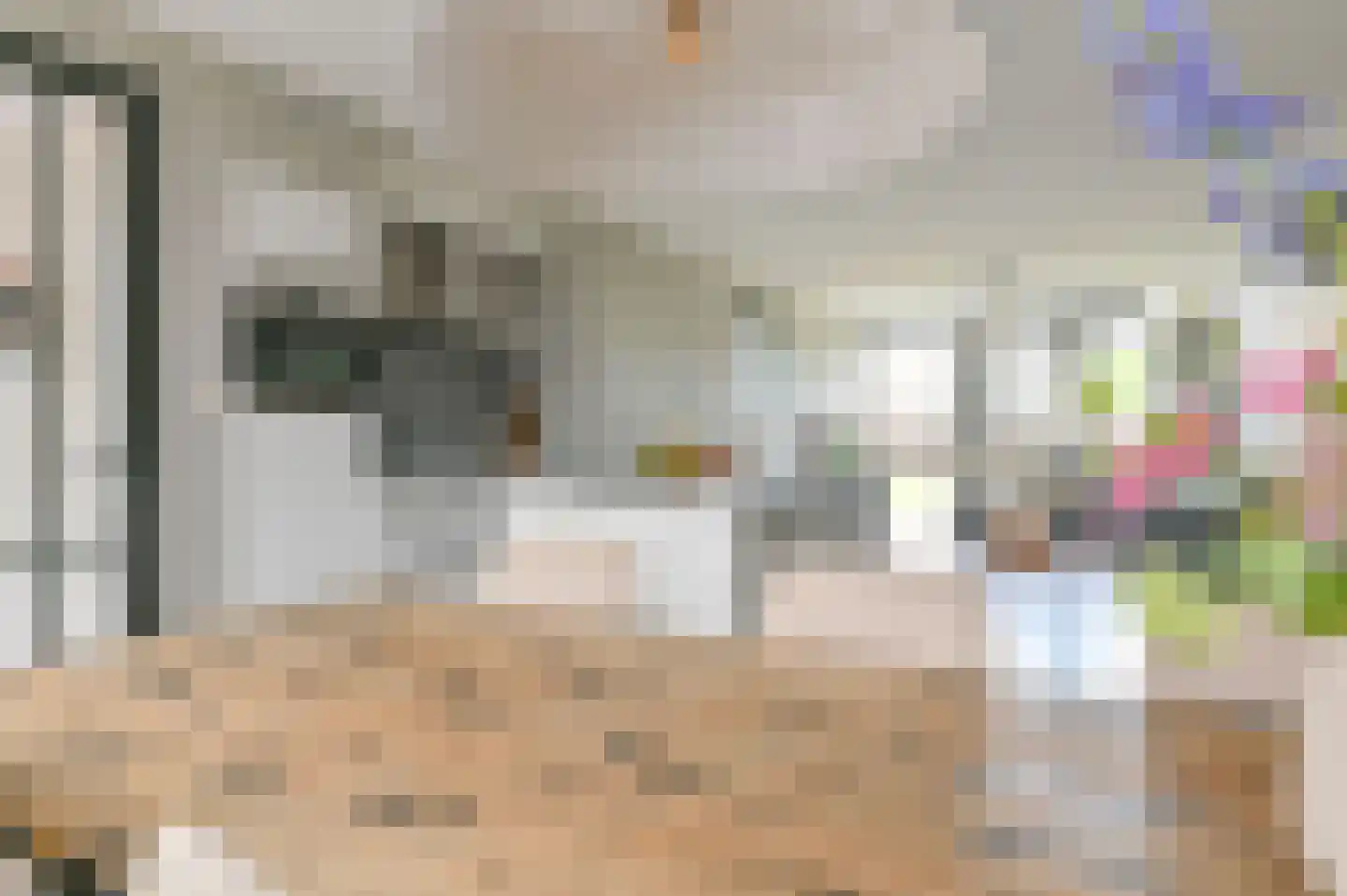 Wega 9 Hoogeveen thumbnail 15