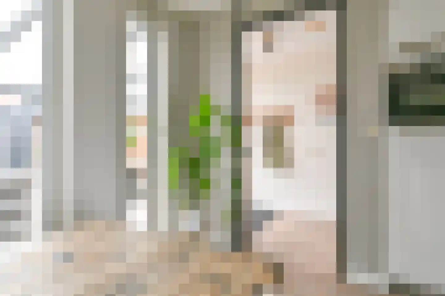 Wega 9 Hoogeveen thumbnail 16