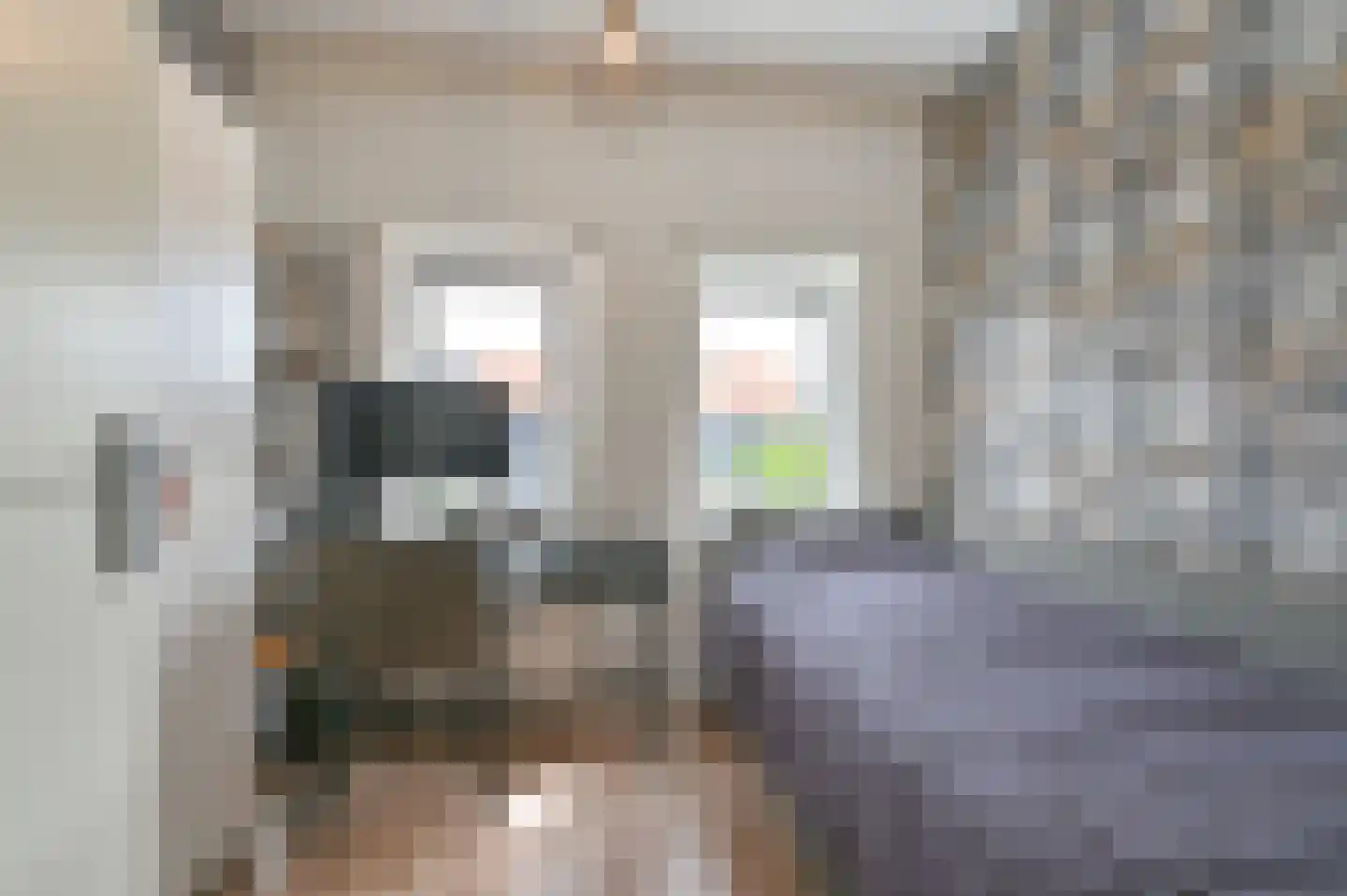 Wega 9 Hoogeveen thumbnail 27