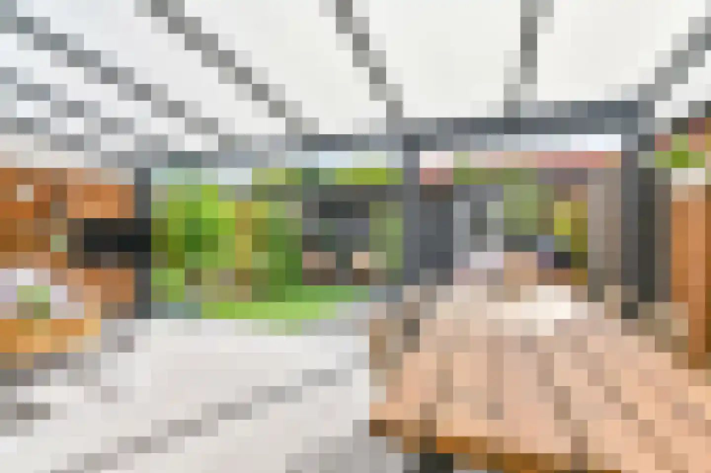 Wega 9 Hoogeveen thumbnail 39