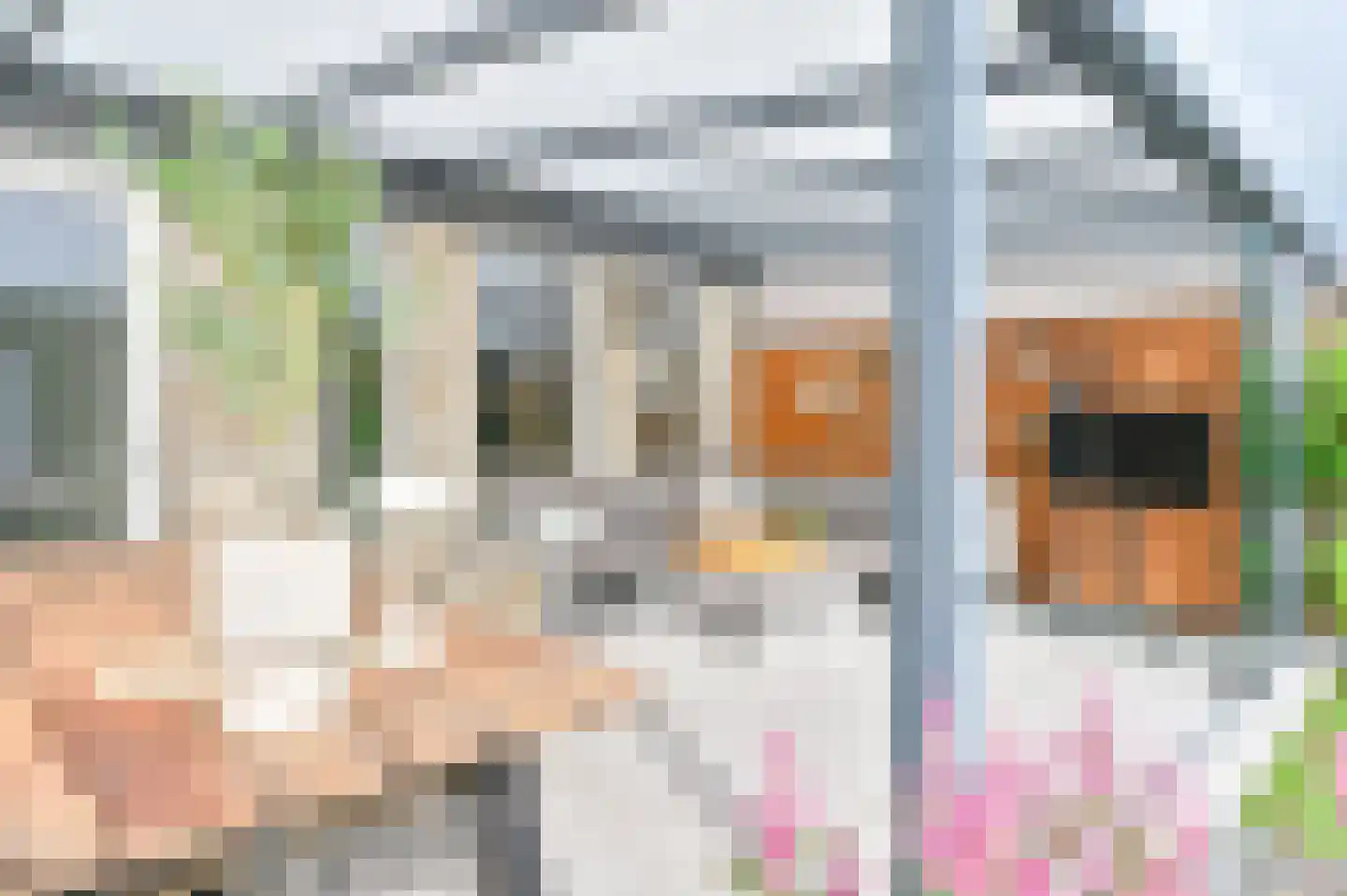 Wega 9 Hoogeveen thumbnail 40