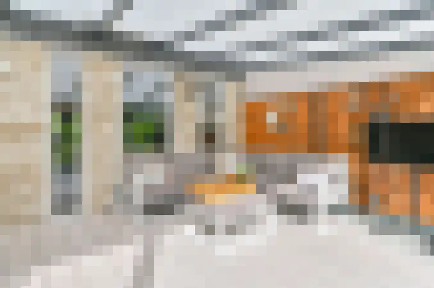 Wega 9 Hoogeveen thumbnail 42