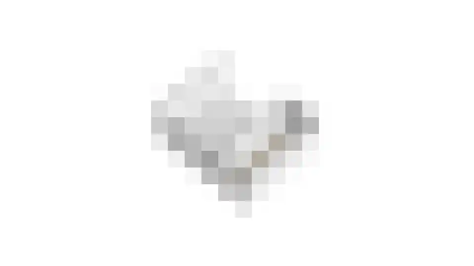 Wega 9 Hoogeveen thumbnail 61