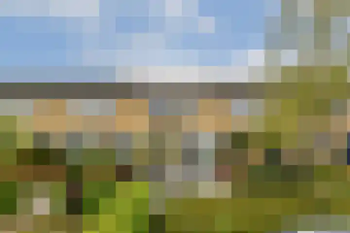 Wega 90 in Dordrecht