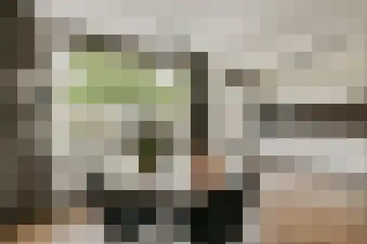 Wega 90 Dordrecht thumbnail 7