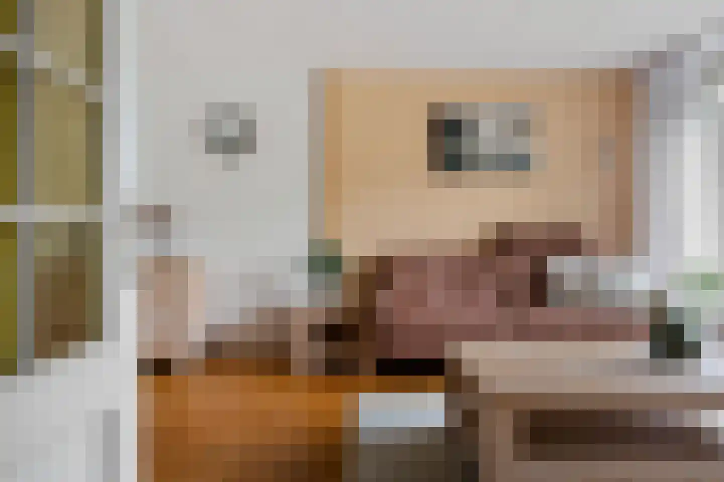 Wegalaan 12 Groningen thumbnail 16