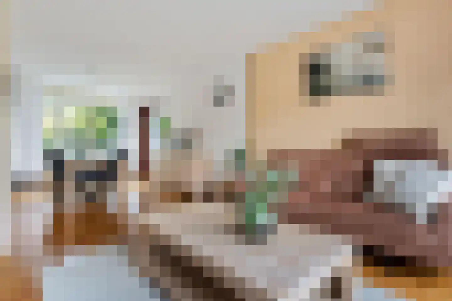 Wegalaan 12 Groningen thumbnail 19