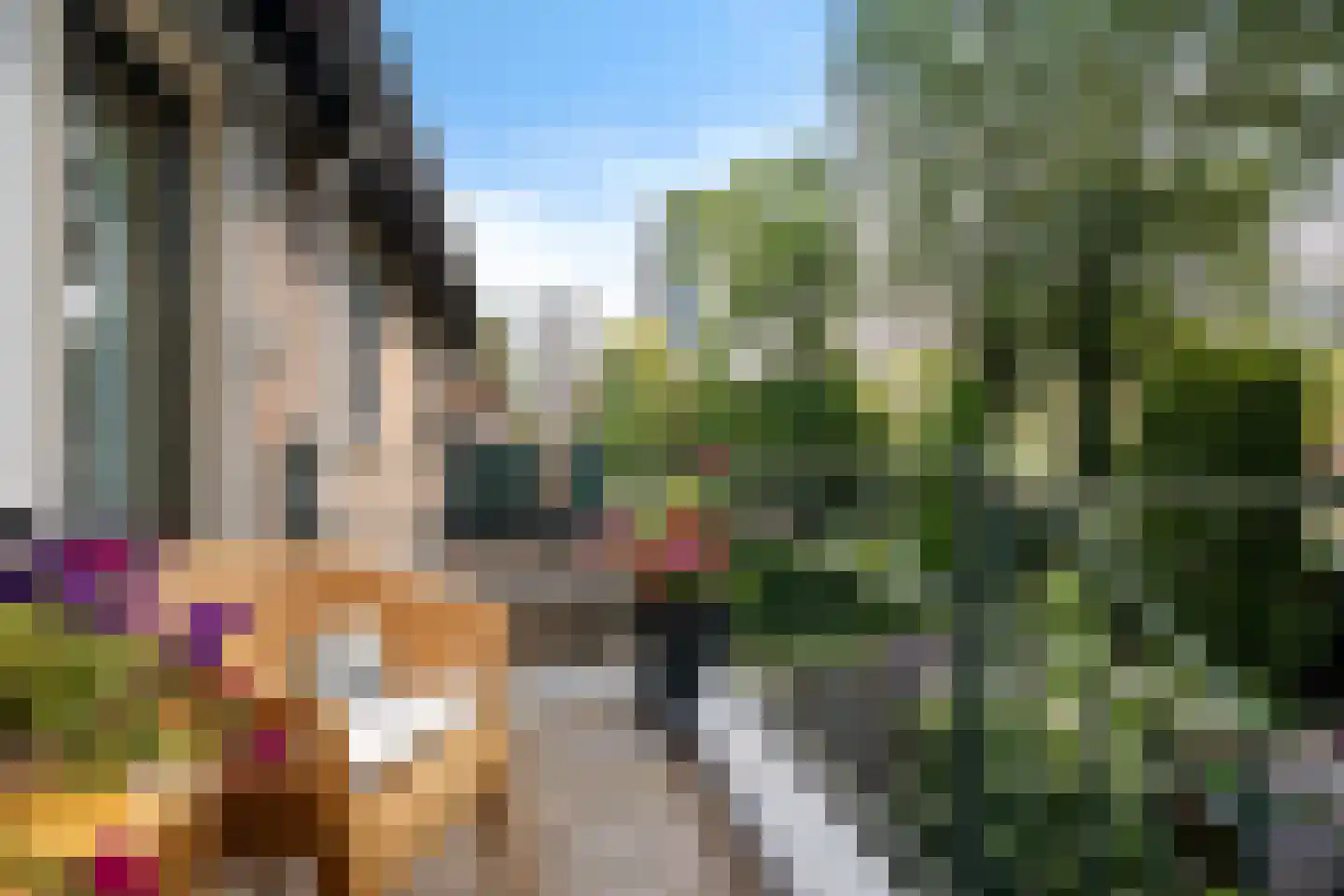 Wegalaan 12 Groningen thumbnail 45