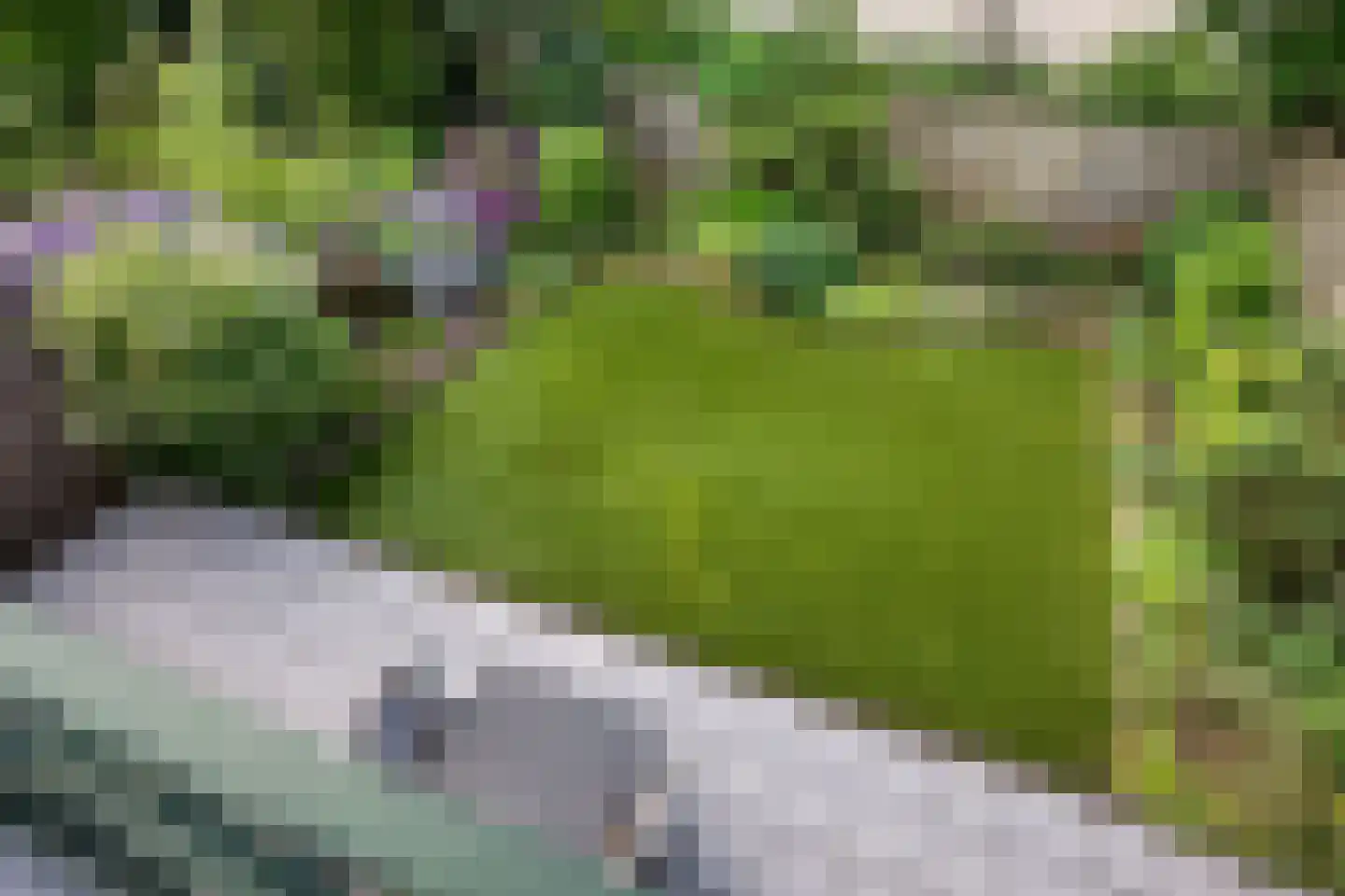 Wegalaan 12 Groningen thumbnail 46