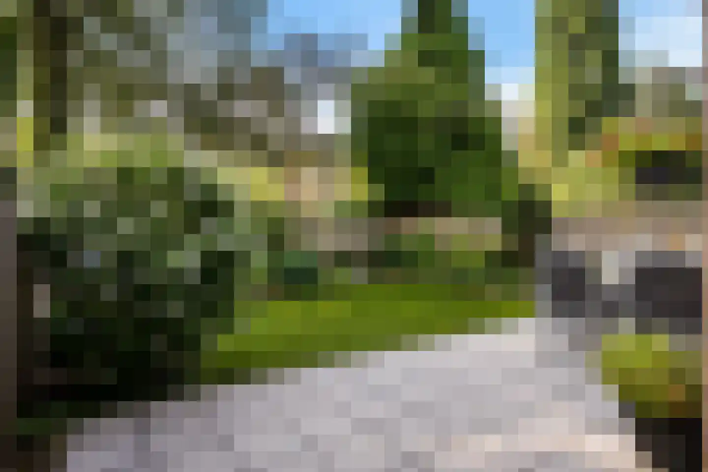 Wegalaan 12 Groningen thumbnail 47