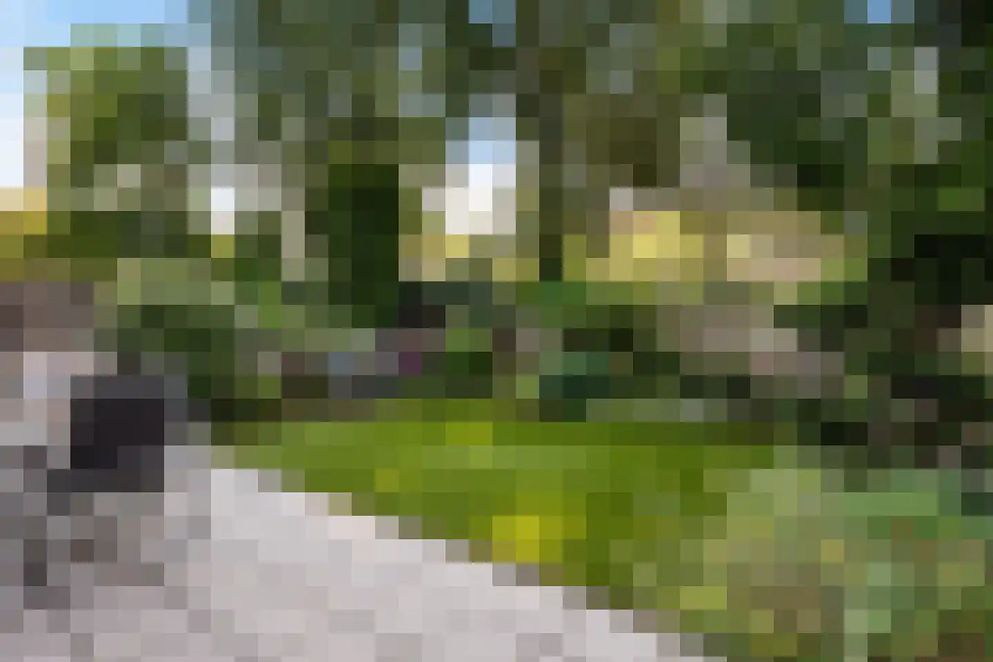 Wegalaan 12 Groningen thumbnail 48