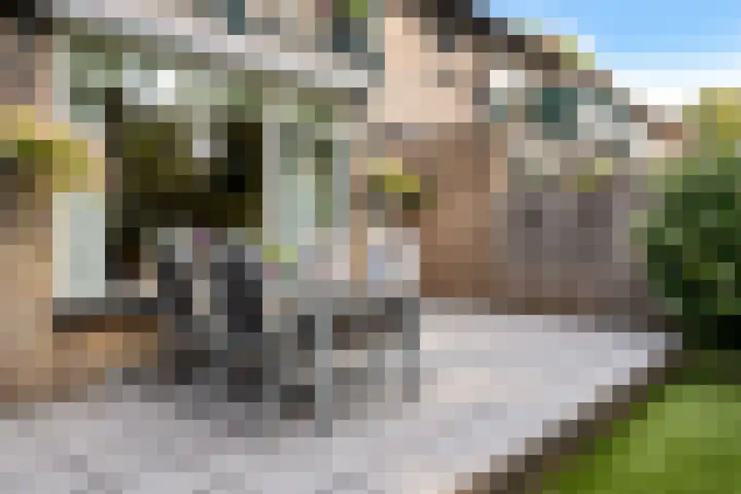 Wegalaan 12 Groningen thumbnail 49