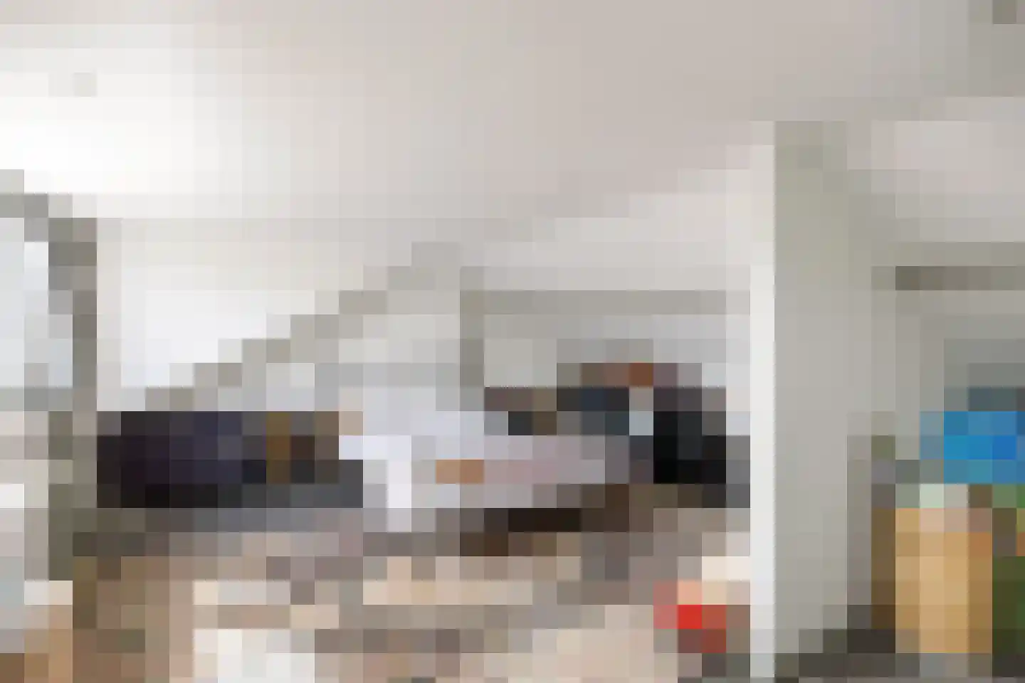 Wegalaan 17 Groningen thumbnail 23