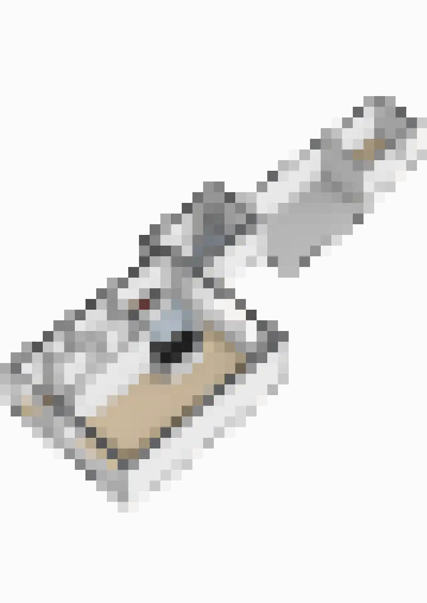 Wegalaan 17 Groningen thumbnail 32