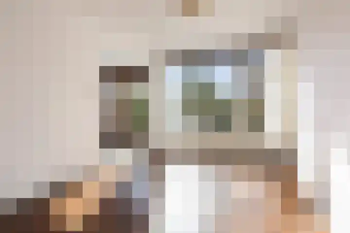 Wegalaan 2 Groningen thumbnail 10