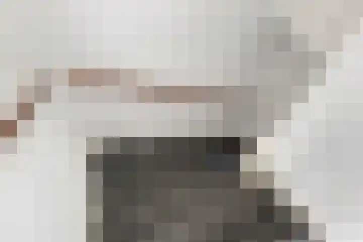 Wegalaan 2 Groningen thumbnail 16