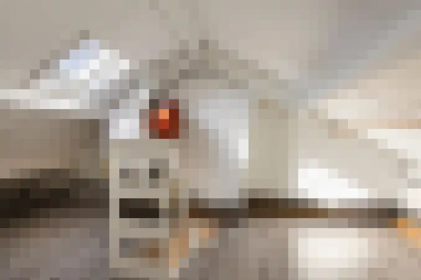 Wegalaan 2 Groningen thumbnail 23