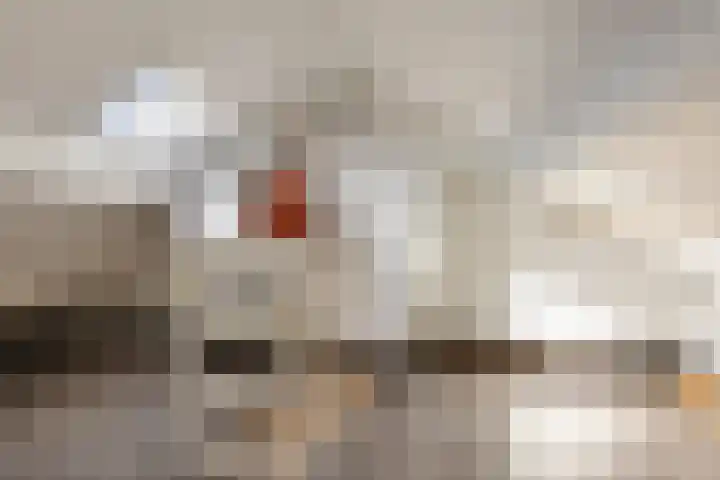 Wegalaan 2 Groningen thumbnail 23