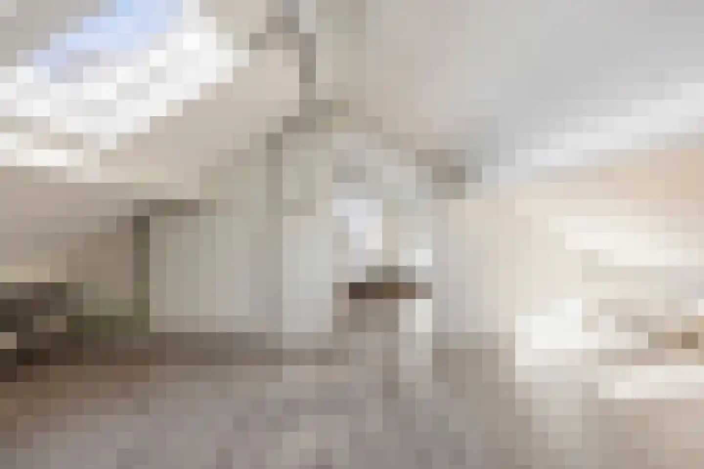 Wegalaan 2 Groningen thumbnail 25