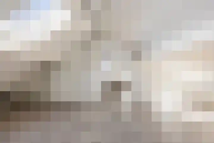 Wegalaan 2 Groningen thumbnail 25