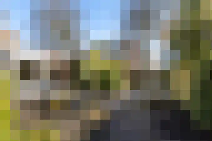 Wegalaan 2 Groningen thumbnail 30