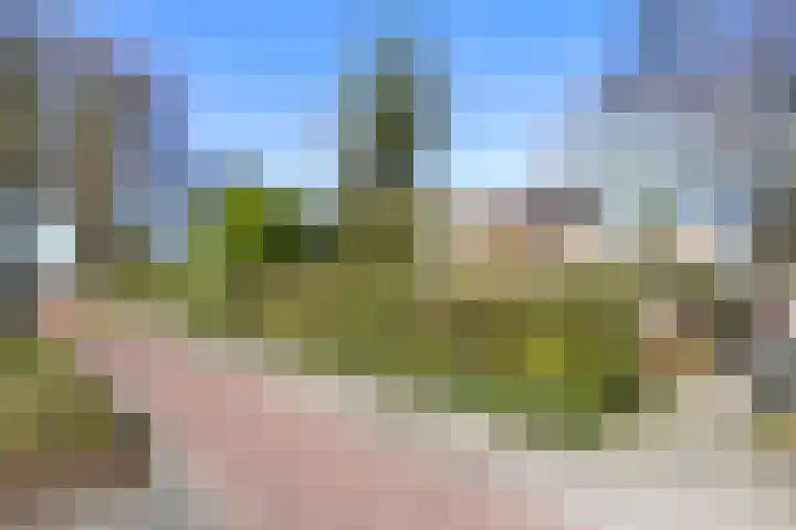 Wegalaan 2 Groningen thumbnail 32
