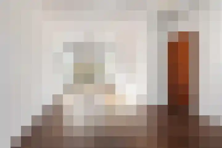 Wegalaan 2 Groningen thumbnail 9