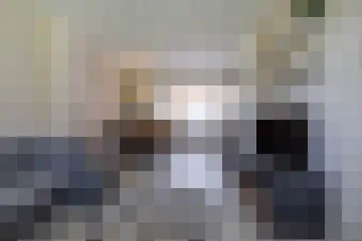 Wegalaan 35 Groningen thumbnail 11