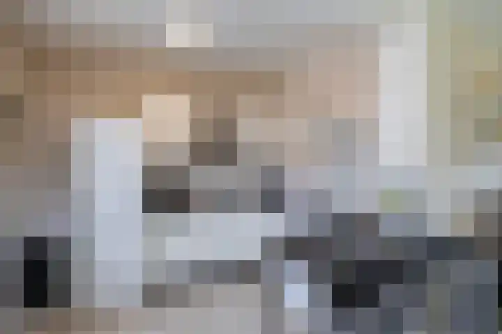 Wegalaan 35 Groningen thumbnail 15