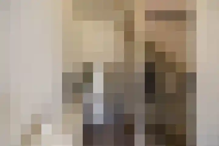 Wegalaan 35 Groningen thumbnail 18