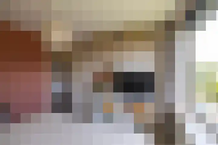 Wegalaan 35 Groningen thumbnail 21