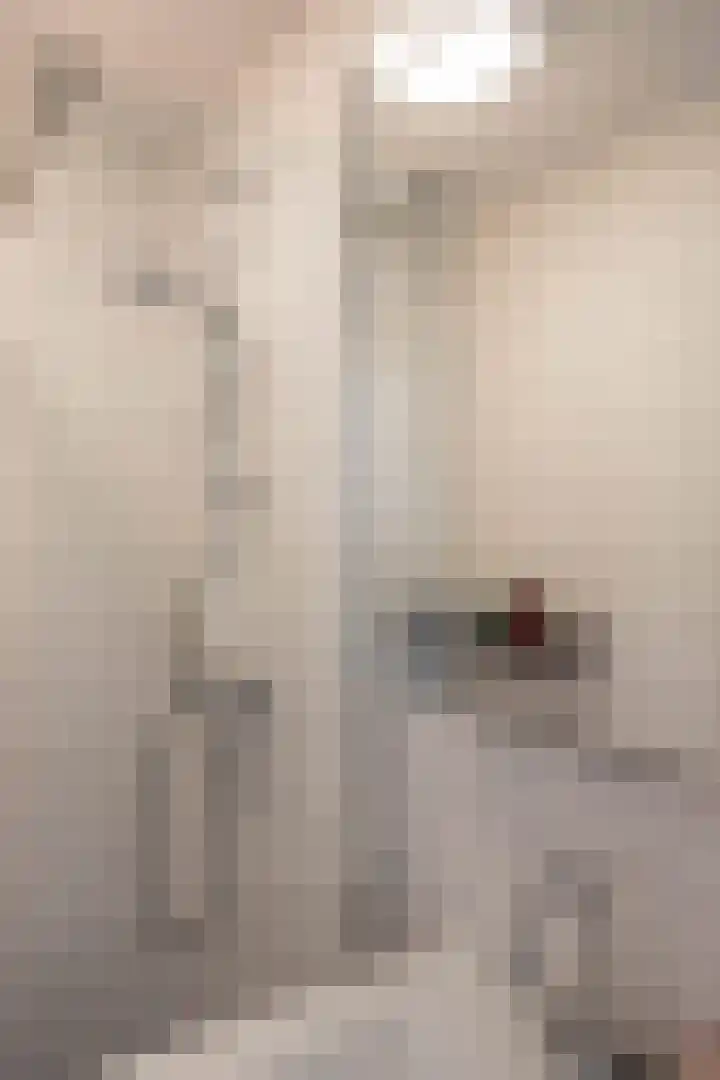 Wegalaan 35 Groningen thumbnail 23