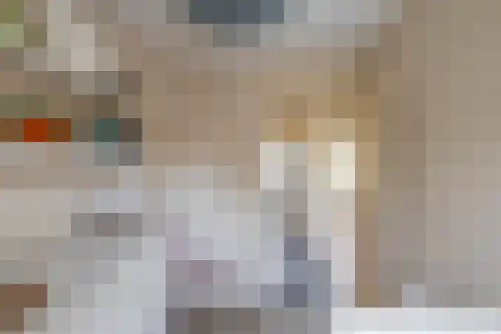 Wegalaan 35 Groningen thumbnail 24