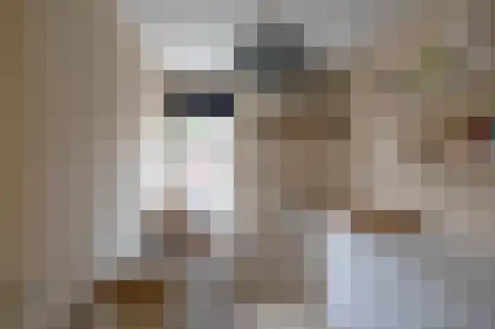 Wegalaan 35 Groningen thumbnail 25