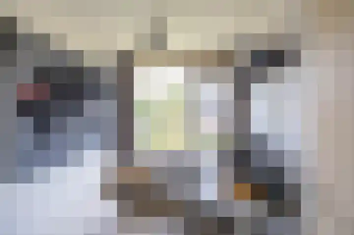 Wegalaan 35 Groningen thumbnail 26