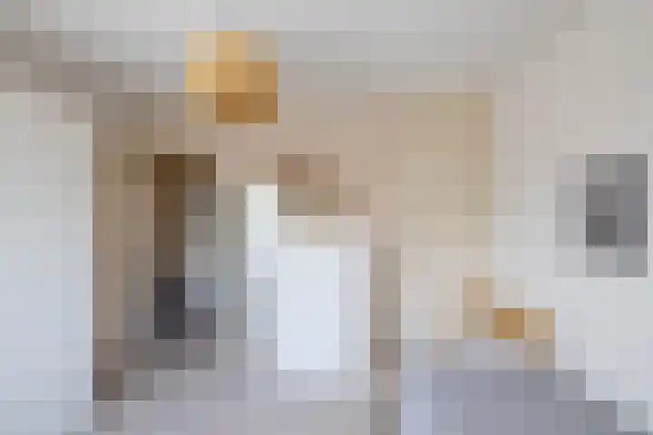 Wegalaan 35 Groningen thumbnail 27