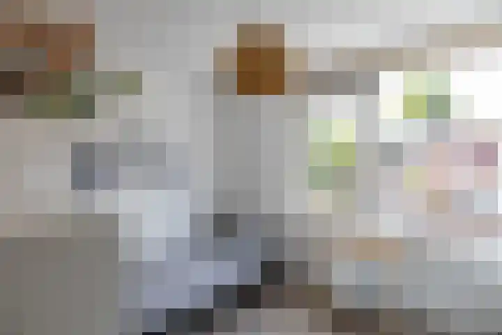 Wegalaan 35 Groningen thumbnail 28