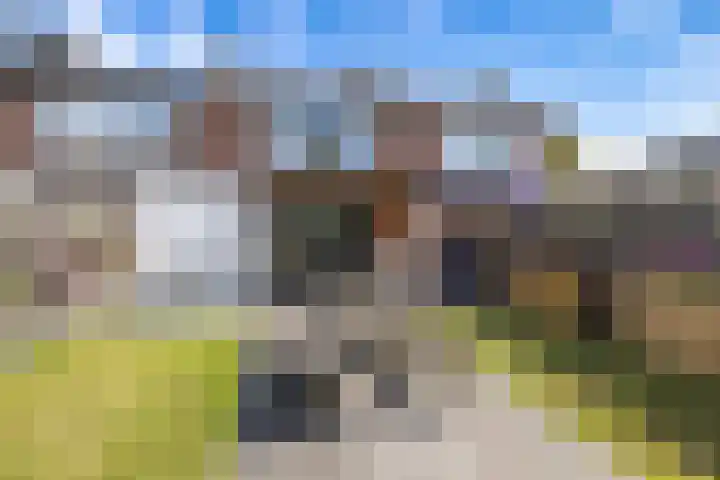 Wegalaan 35 Groningen thumbnail 32