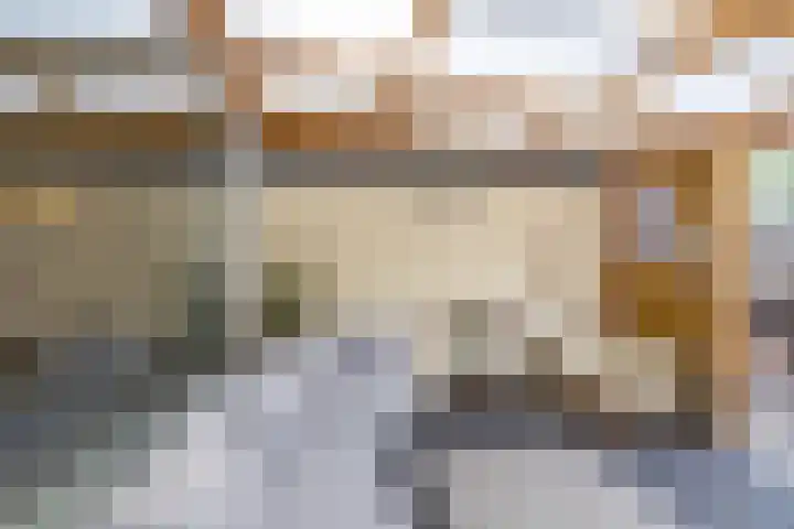 Wegalaan 35 Groningen thumbnail 34