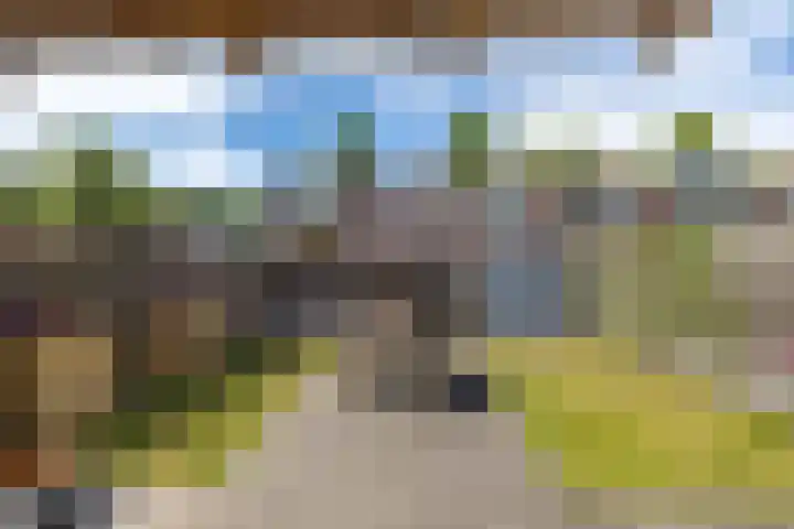Wegalaan 35 Groningen thumbnail 35