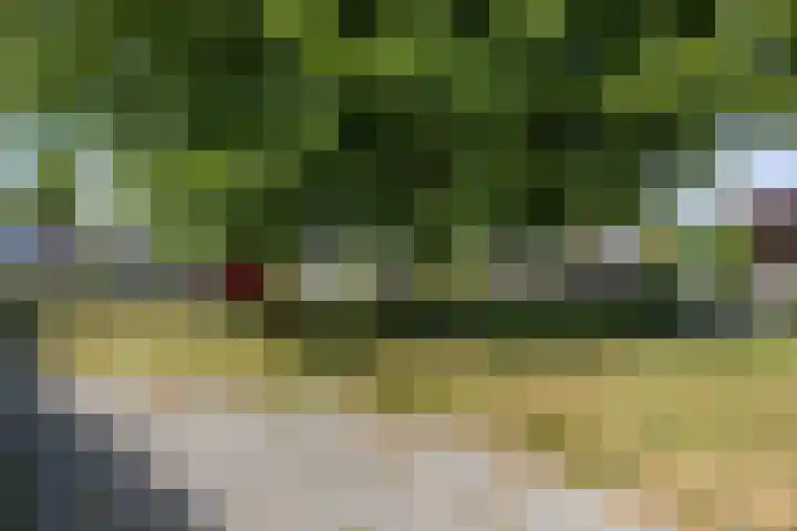 Wegalaan 35 Groningen thumbnail 36