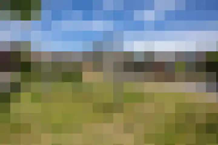 Wegalaan 35 Groningen thumbnail 37