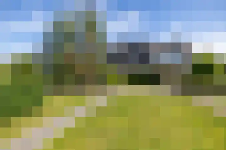 Wegalaan 35 Groningen thumbnail 5