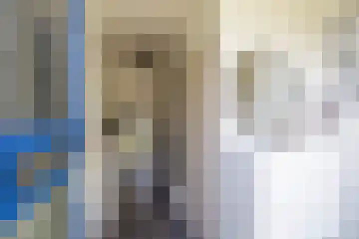 Wegalaan 35 Groningen thumbnail 6