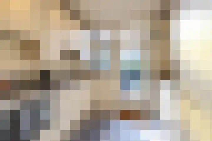Wegalaan 40 Groningen thumbnail 12