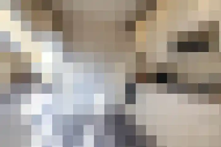 Wegalaan 40 Groningen thumbnail 14