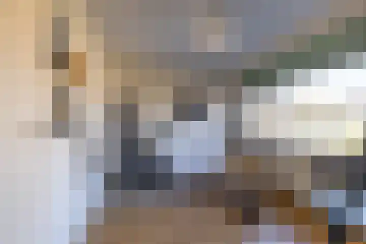 Wegalaan 40 Groningen thumbnail 24