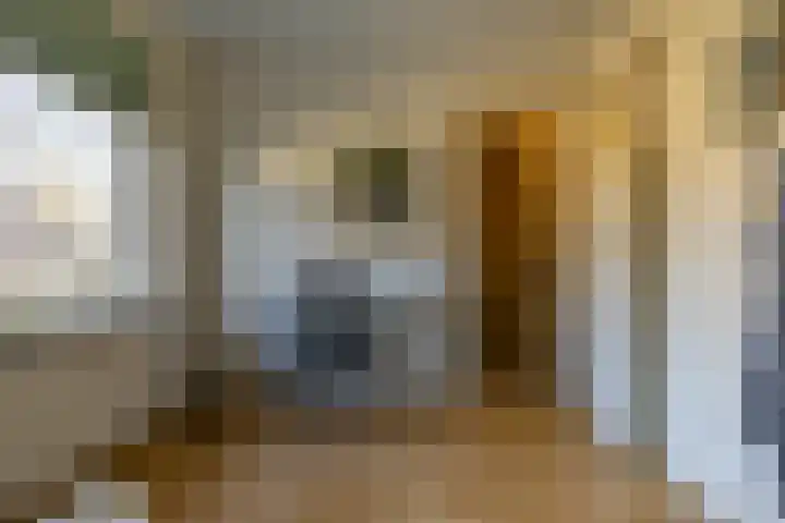 Wegalaan 40 Groningen thumbnail 25